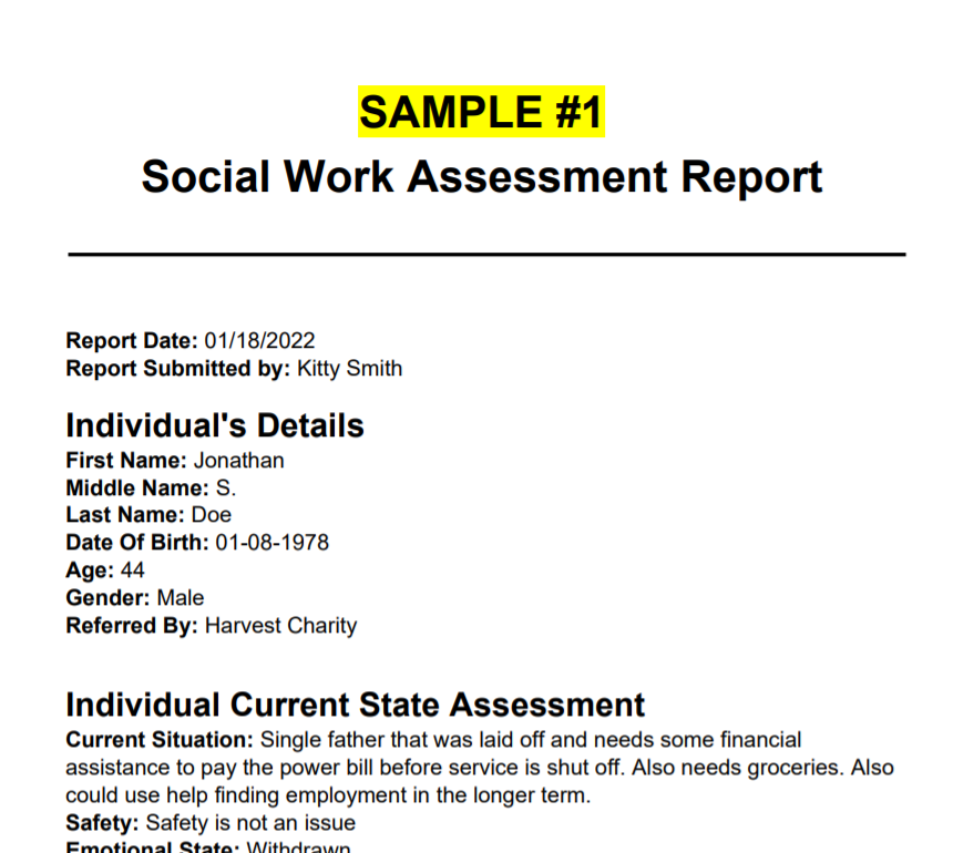 social work case study report format