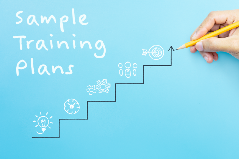 Best 2024 Training Plan, Template, and Samples for Training Employees